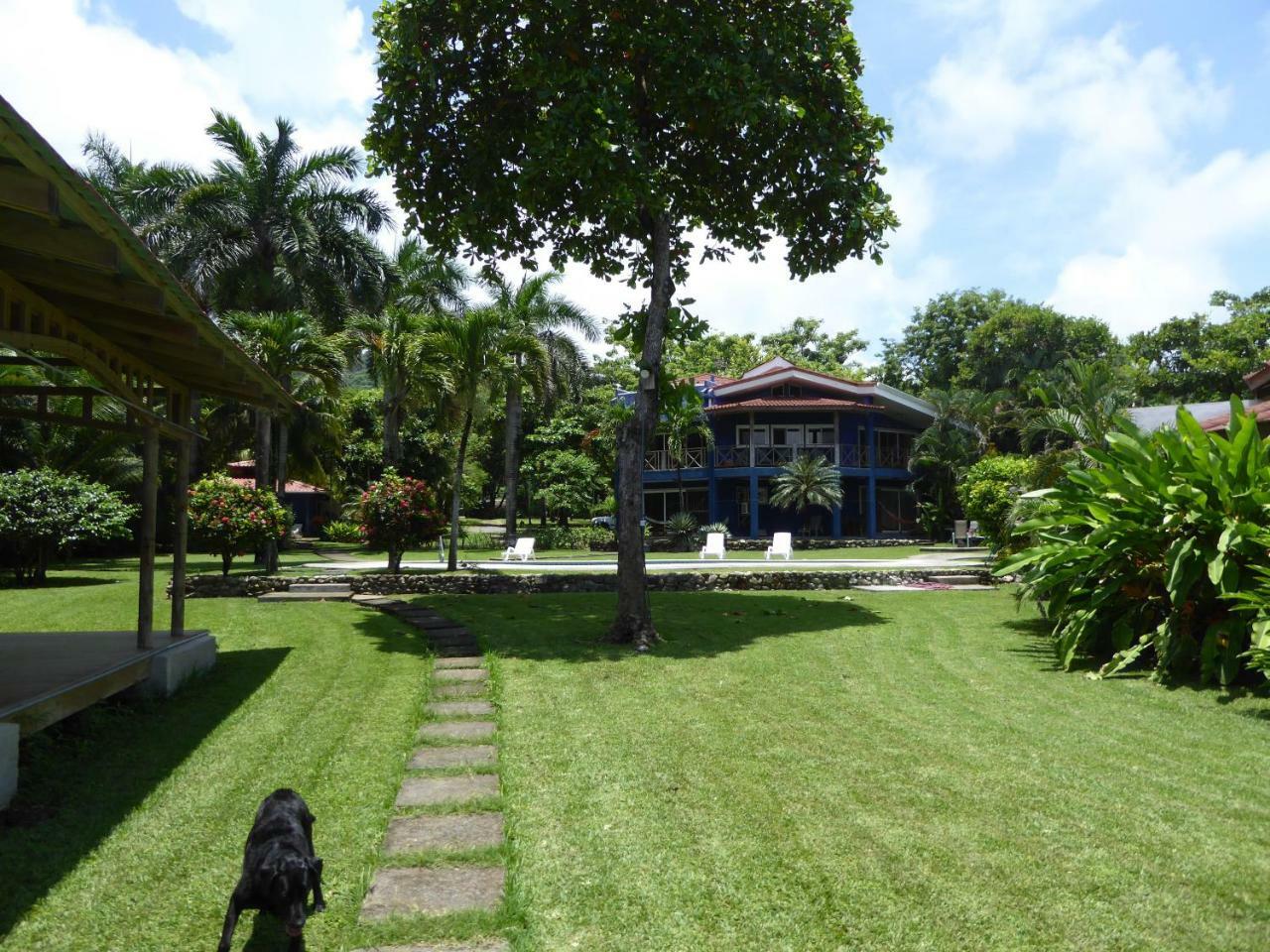 Hotel Casa Azul Playa Santa Teresa  Екстер'єр фото